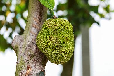 《星球大战：法外狂徒》被批枪战简单笨重 AI反应呆滞